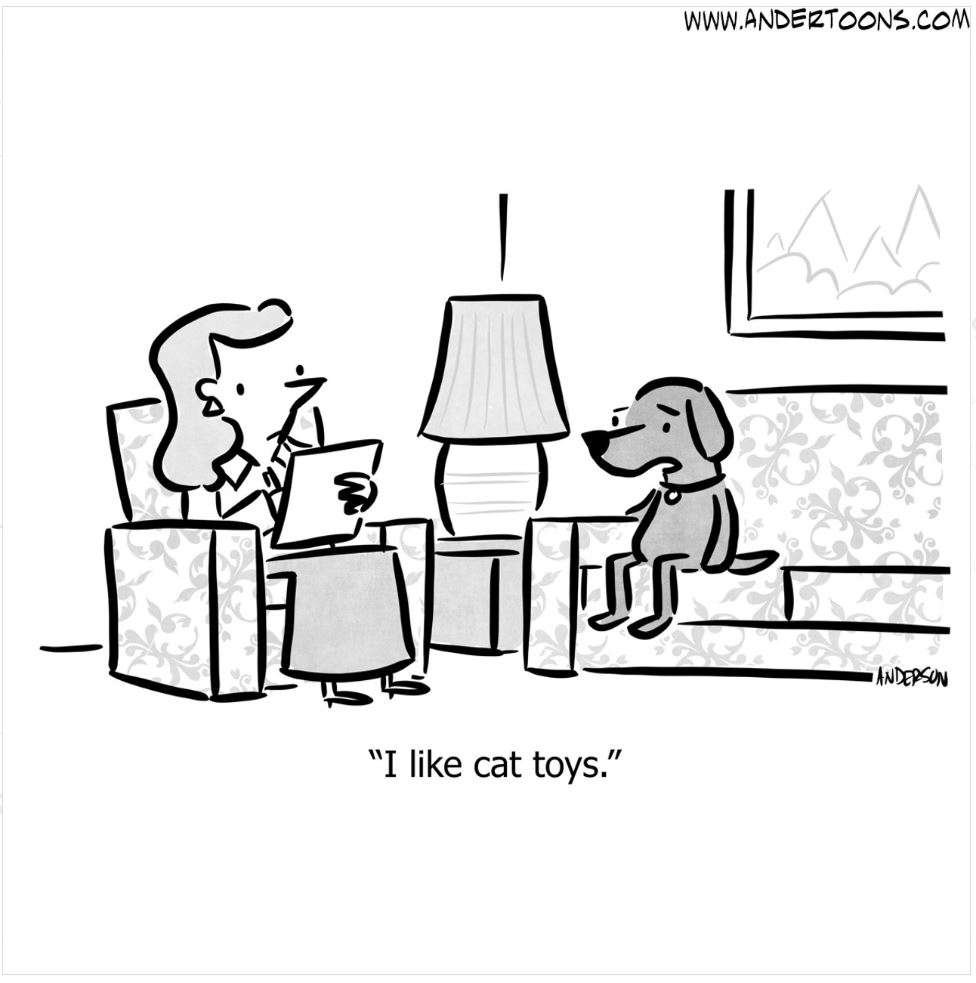 A black and white cartoon with a woman sitting in a chair taking notes while a forlorn looking dog sits on a lounge saying "I like cat toys".