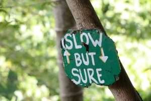 Green sign with white paint that says slow but sure attached to a thin tree trunk