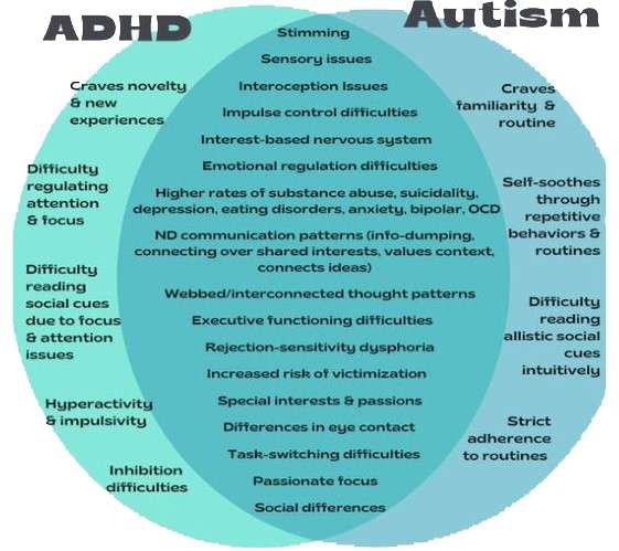 Two intersecting circles - ADHD and Autism - create three areas - two outer sections with their own features outlined, and the overlapping middle section with a set of features characteristic of both conditions.