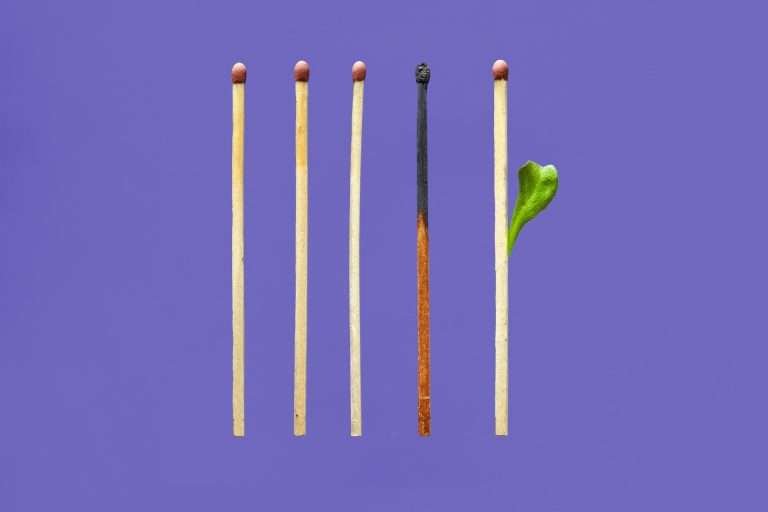 Five redhead matches on a purple background. One match is burnt out, but the final match has a green shoot growing out of it.